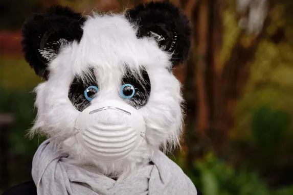 TopBet Cazino Cazinou Suport